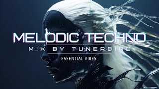 Melodic Techno Set  I Essential Vibes Guest @Tunerbird I