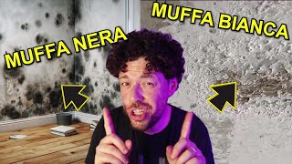 Muffa Nera e Muffa Bianca... cosa sono?