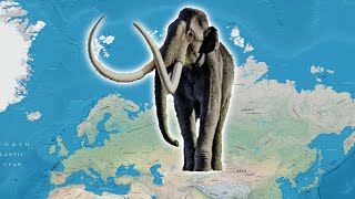 Largest Mammoth that Ever Lived:  The Steppe Mammoth