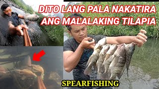 Nahanap ko ang Lungga ng Malalaking Tilapia | Pamamana 2021