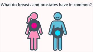 Breast and prostate cancers team up for a better tomorrow