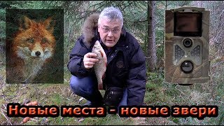 Охота с фотоловушкой Филин 120. "Новые места - новые звери".