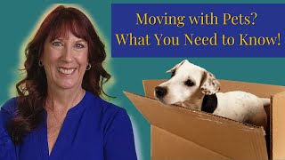 Moving With Pets