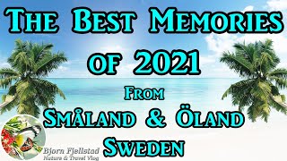 The Best Memories of 2021  : Småland and Öland - Sweden