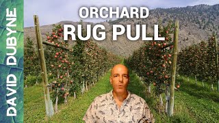 This Is How Orchards Will Disappear and Our Food With It