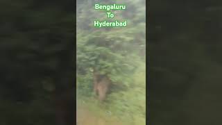 Bengaluru To Hyderabad #travel  #nature #love