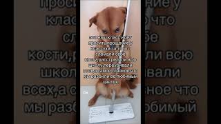 Жиза? #глобальныерекомендации