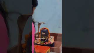 Gori Sankar Chandani chowk 12 Jyotiling ka Darshan bhakti bajan riya short video