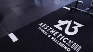 AESTHETIC XIII fitness & wellbeing