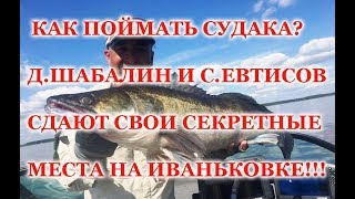 Как поймать судака на Иваньковском вдхр.