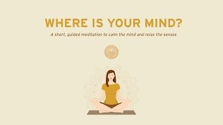 Where is Your Mind? A short, guided meditation to calm the mind and relax the senses.