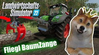 LS22 Neuer Mod im LS22 Forst Server?! | Fliegl Long Neck Combi Plus