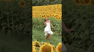 Dancing with the sunflowers