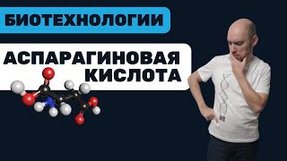 Что такое аспарагиновая кислота? Душкин объяснит