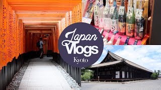 Temples and Markets in Kyoto! Fushimi Inari, Sanjusangendo, Nishiki Market! Japan Summer 2017