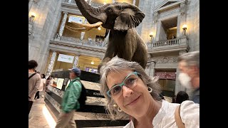 Recorramos los jardines del Museo Smithsoniano de Historia Natural en Washington DC