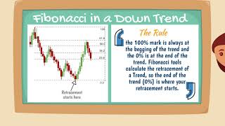 Forex Trading For Beginners -  Fibonacci