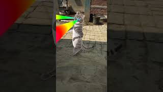 cat 😺 funny # dance 😂 viral # video 😍 trending # short 🙏