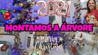 DECORAÇÃO DE NATAL| MONTAMOS NOSSA ÁRVORE DE NATAL EM FAMÍLIA #árvoredenatal