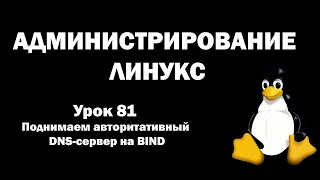 Администрирование Линукс (Linux) - Урок 81 - Поднимаем авторитативный DNS-сервер на BIND