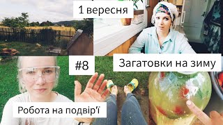 #8 ПОДВІР'Я. Великий ВЛОГ. ХТО ЖИВЕ В ТЕПЛИЦІ? Трохи про СЕБЕ. 1 вересня. КОНСЕРВАЦІЯ.