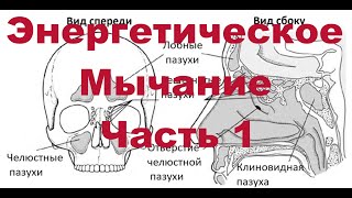 Энергетическое Мычание. Часть 1