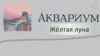 Аквариум - Жёлтая луна (USB). Караоке