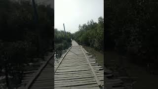 The Road Of Sundarban । Viral Video । Sundarban Special #shorts #youtubeshorts