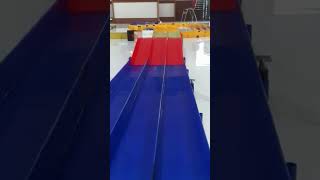 Jump and down Mini 4 WD