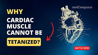 Why cardiac muscle cannot be tetanized | Tetany | Refractory period | Treppe | Medcampus