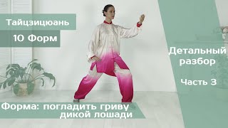 Тайцзицюань 10 форм (обучение, Часть 3)