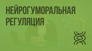 Нейрогуморальная регуляция. Видеоурок по биологии 8 класс