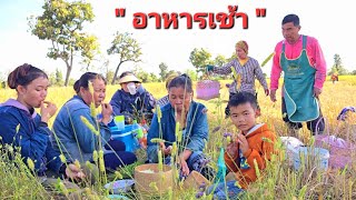 อยู่กลางดิน กินกลางทราย." อาหารเช้าของทีมงานเกี่ยวข้าว.🌾🌾🌾20/10/2024