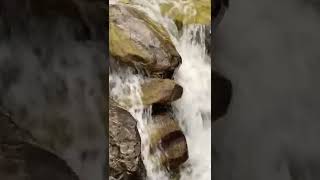 Waterfall | Uttarakhand Tourism #shorts