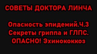 ЛЕКЦИЯ ДОКТОРА ЛИНЧА №7. Бешенство (окончание). Грипп и ОРВИ. Гепатиты. ГЛПС. И прочие зверушки.