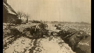 Крах австро-германского блицкрига. Галицийская битва 1914. 17й армейский в Томашевской операции. Ч.1