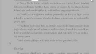 Miğde reflüsüne ne iyi gelir Dr Aidin salih Gerçek Tıp Kitabı