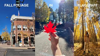 Fall Foliage in Flagstaff Downtown| EP-08 | 4K VLOG