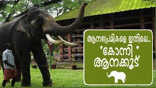 Konni Elephant Reserve Kerala