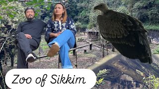 Himalayan zoological park of  gangtok part 2