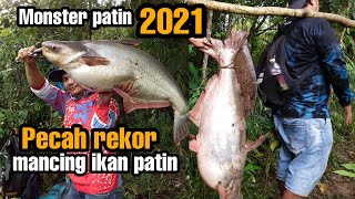 Pecah rekor mancing ikan patin di sungai