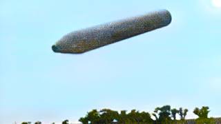 Worldwide Wonders:  Multi Cigar-Shaped UFOs - Global Sightings