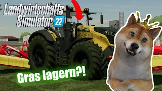 LS22 Wo Gras lagern?! | Wo kann man Gras lagern? | LS22 Tutorial