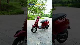 Xe ga 50cc DVMotor Venus đỏ mận ||093.629.1199