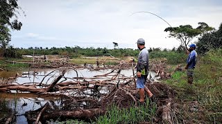 O RIO ABAIXOU E OS PEIXES FICOU PRESO NESSA LAGOA ,SÓ DA TEMPO DA ISCA BATER NO FUNDO/PESCARIA RAIZ.