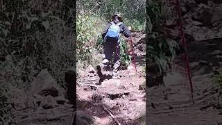 sedari dini diajari mendaki gunung #shorts #youtubeshorts #viral #pendaki