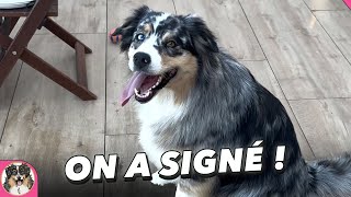 ON A SIGNÉ ! Olive découvre la maison - Vlog