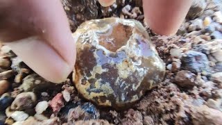 good luck find agate chalcedony japer near side of the road,find natural gemstone part 14