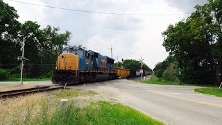 TRRS 446: CSX Track Equipment Train W038