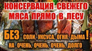 КАК СОХРАНИТЬ МЯСО. КОНСЕРВАЦИЯ МЯСА, ВЯЛЕНОЕ МЯСО  в лесу без соли, дыма, огня и уксуса.